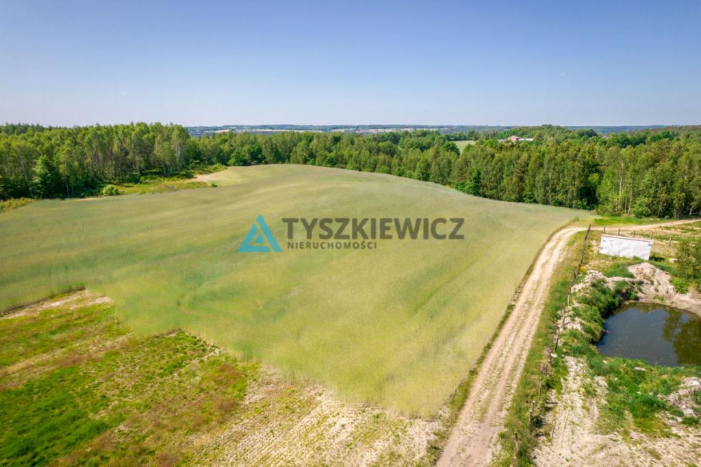 Piękna działka przy lesie Brodnica Górna - zdjęcie 4