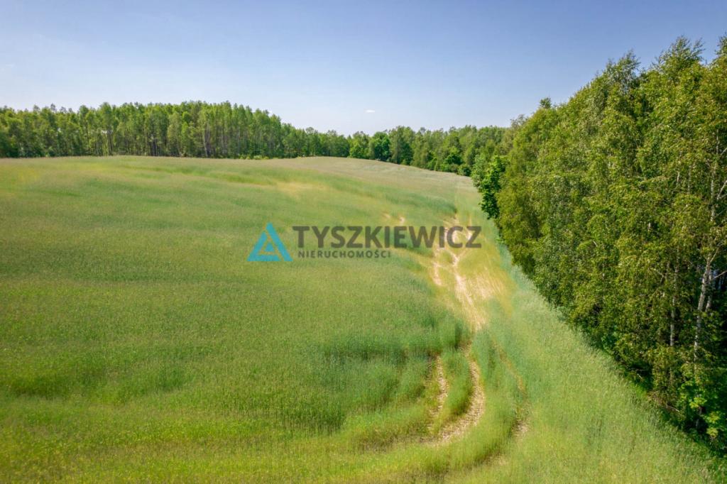 Piękna działka przy lesie Brodnica Górna - zdjęcie 2
