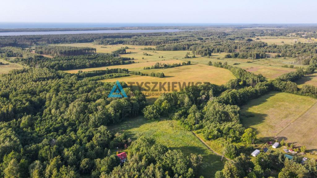 Nieruchomość z 2 stron otoczona lasem - zdjęcie 17