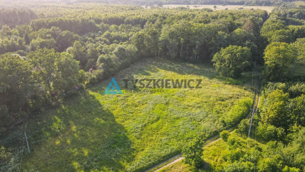 Nieruchomość z 2 stron otoczona lasem - zdjęcie 23