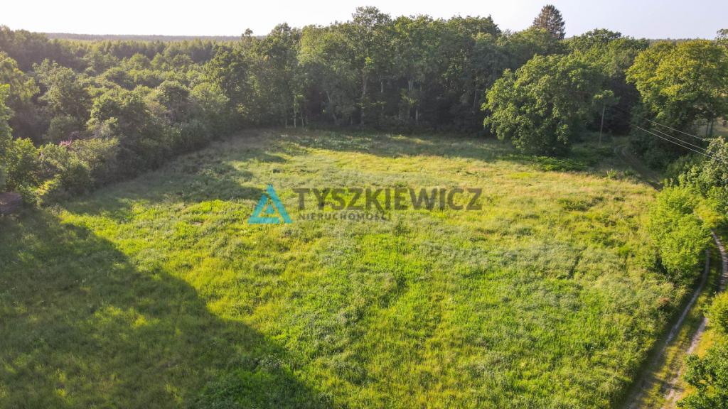 Nieruchomość z 2 stron otoczona lasem - zdjęcie 24