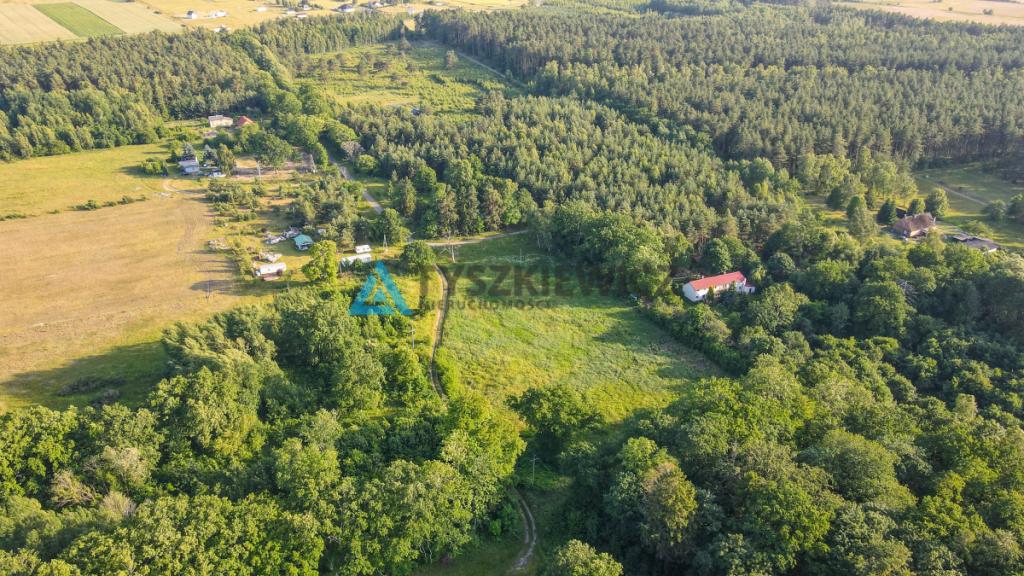 Nieruchomość z 2 stron otoczona lasem - zdjęcie 11