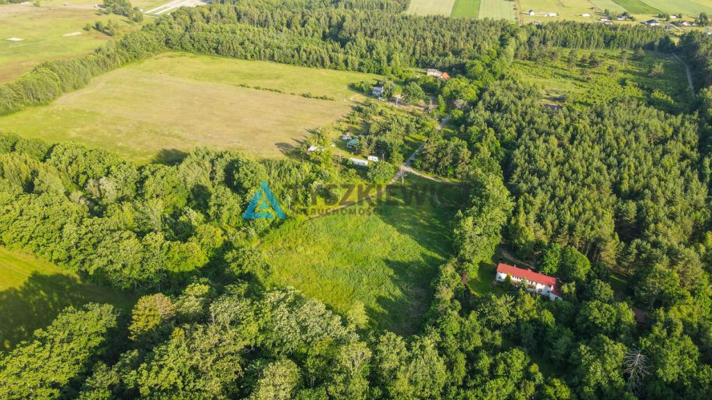 Nieruchomość z 2 stron otoczona lasem - zdjęcie 14