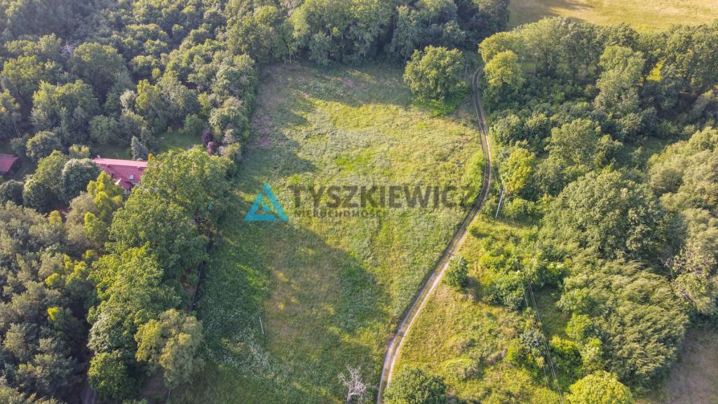 Nieruchomość z 2 stron otoczona lasem - zdjęcie 23