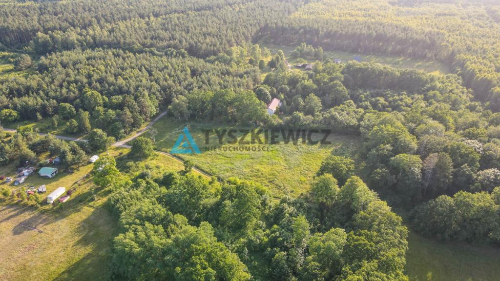 Nieruchomość z 2 stron otoczona lasem - zdjęcie 9