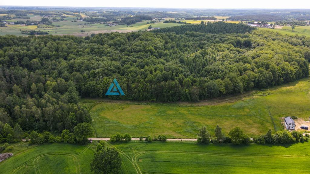 Duża działka budowlana blisko jeziora Trzepowo - zdjęcie 3