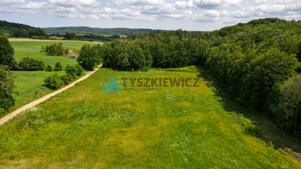 Duża działka budowlana blisko jeziora Trzepowo - zdjęcie 10