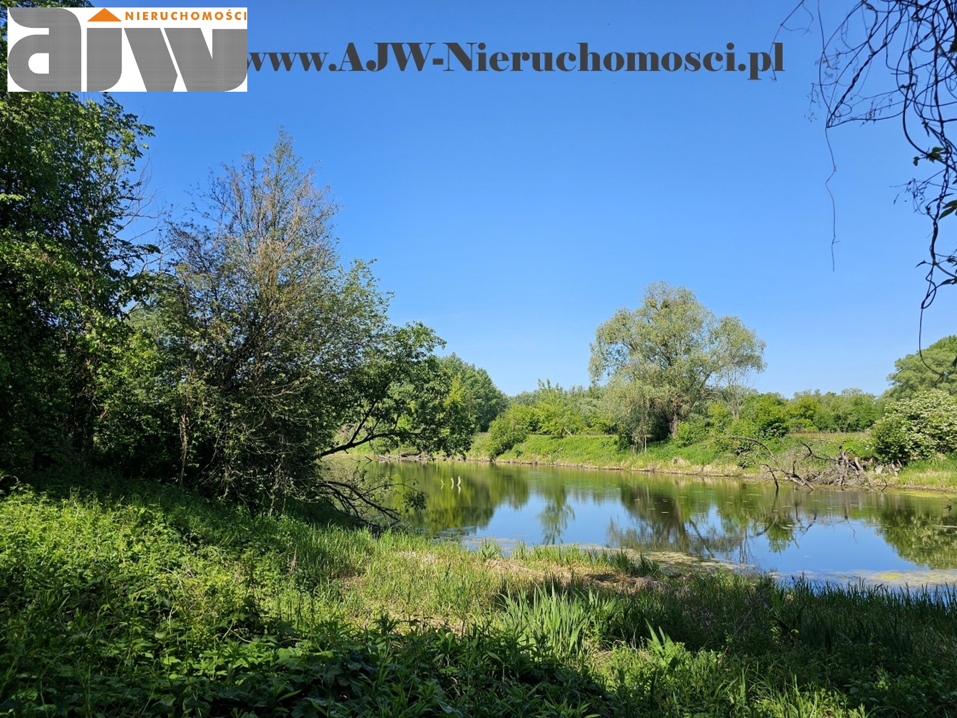 Secyminek dwa domy na 1,5 ha - zdjęcie 14