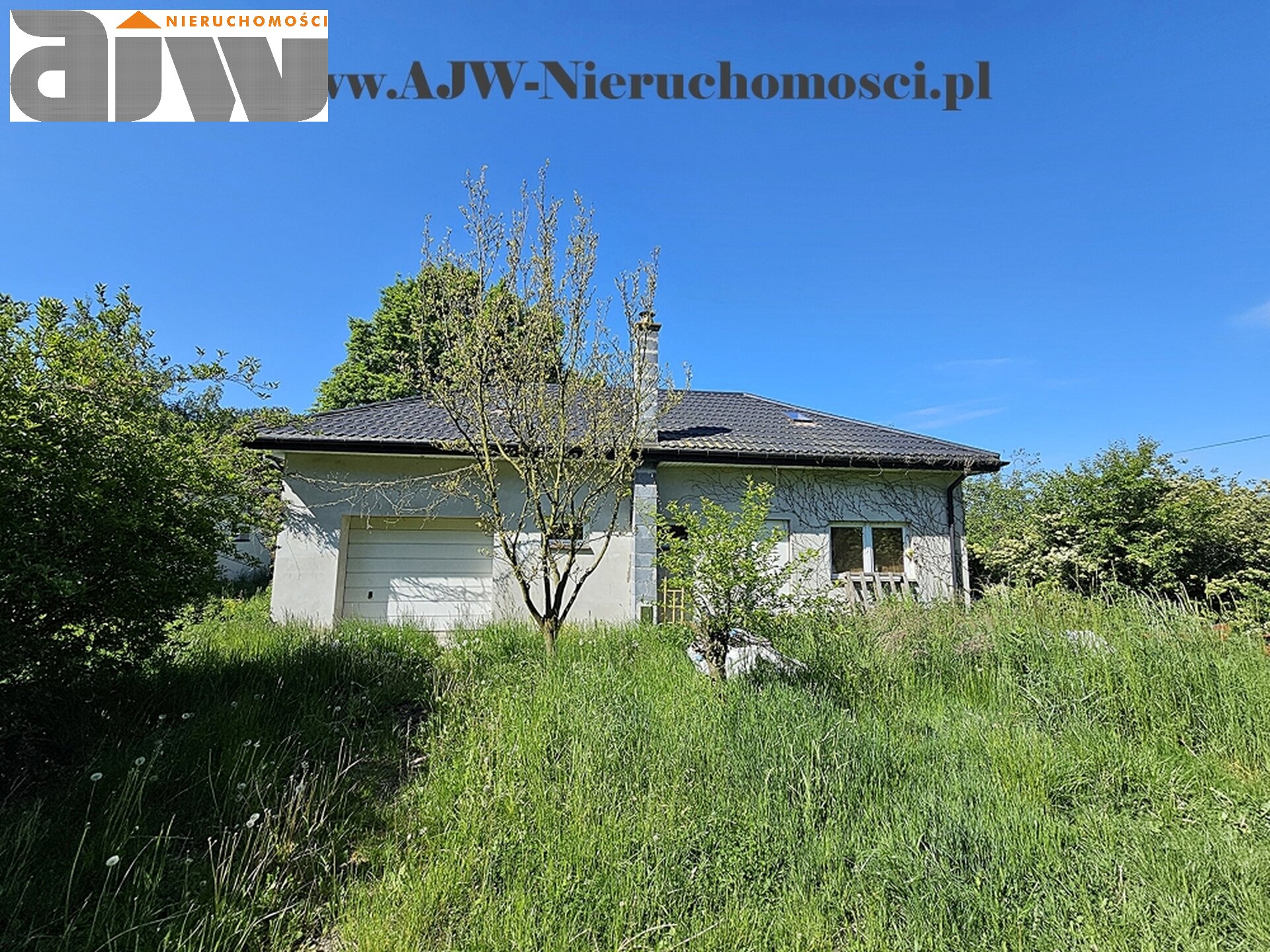 Secyminek dwa domy na 1,5 ha - zdjęcie 1