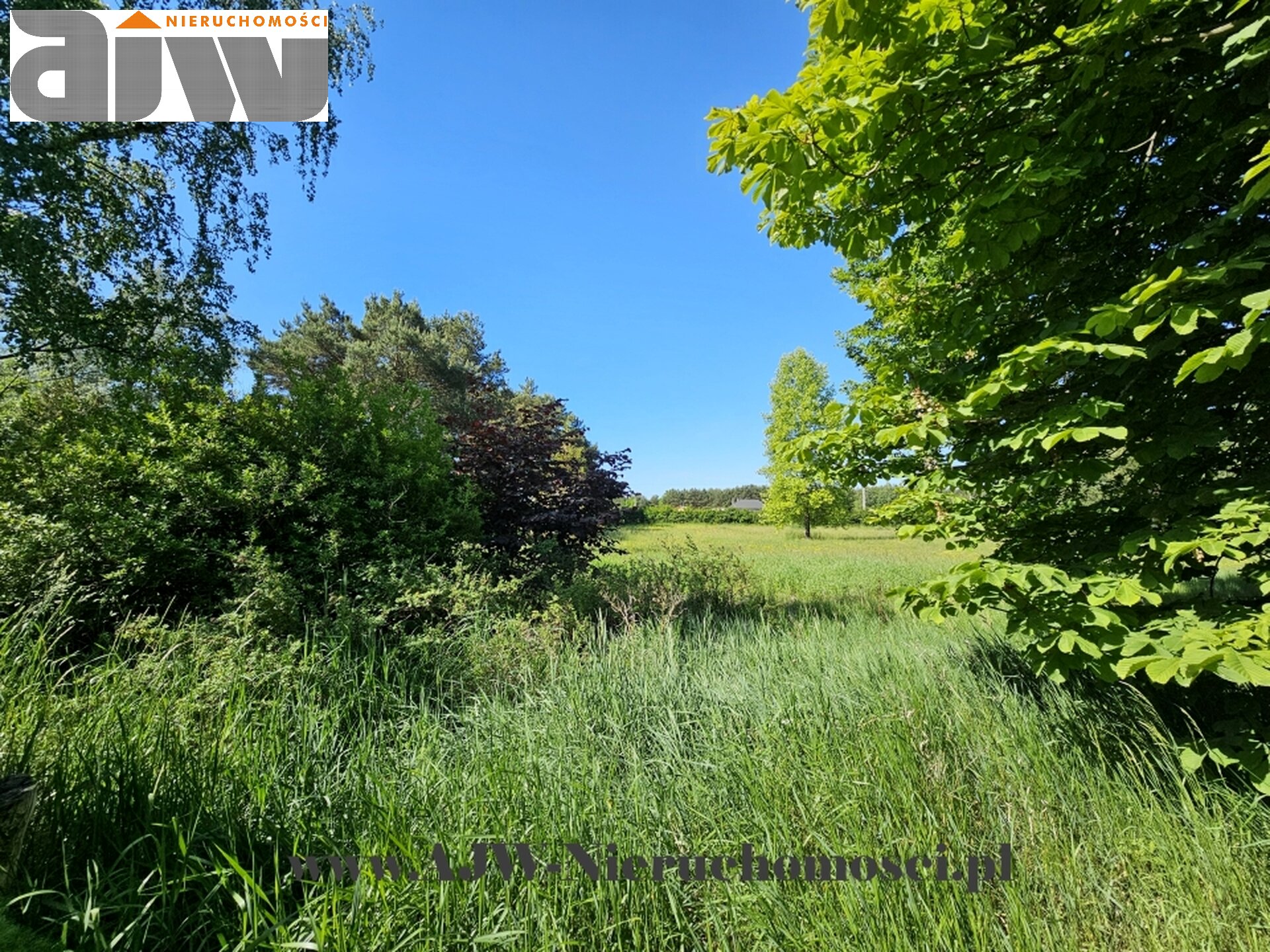 Secyminek dwa domy na 1,5 ha - zdjęcie 12