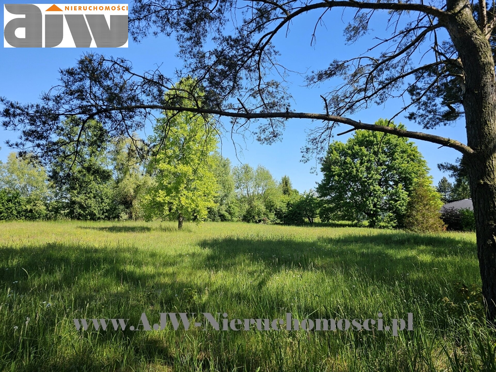 Secyminek dwa domy na 1,5 ha - zdjęcie 11