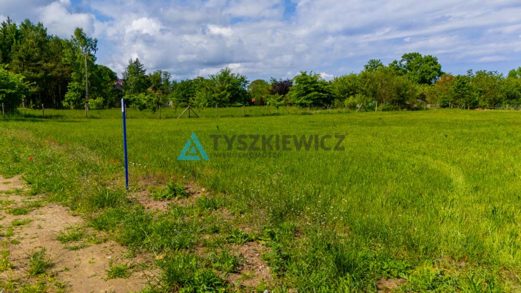 Urokliwa działka nad morzem 1000m2 przy lesie - zdjęcie 6