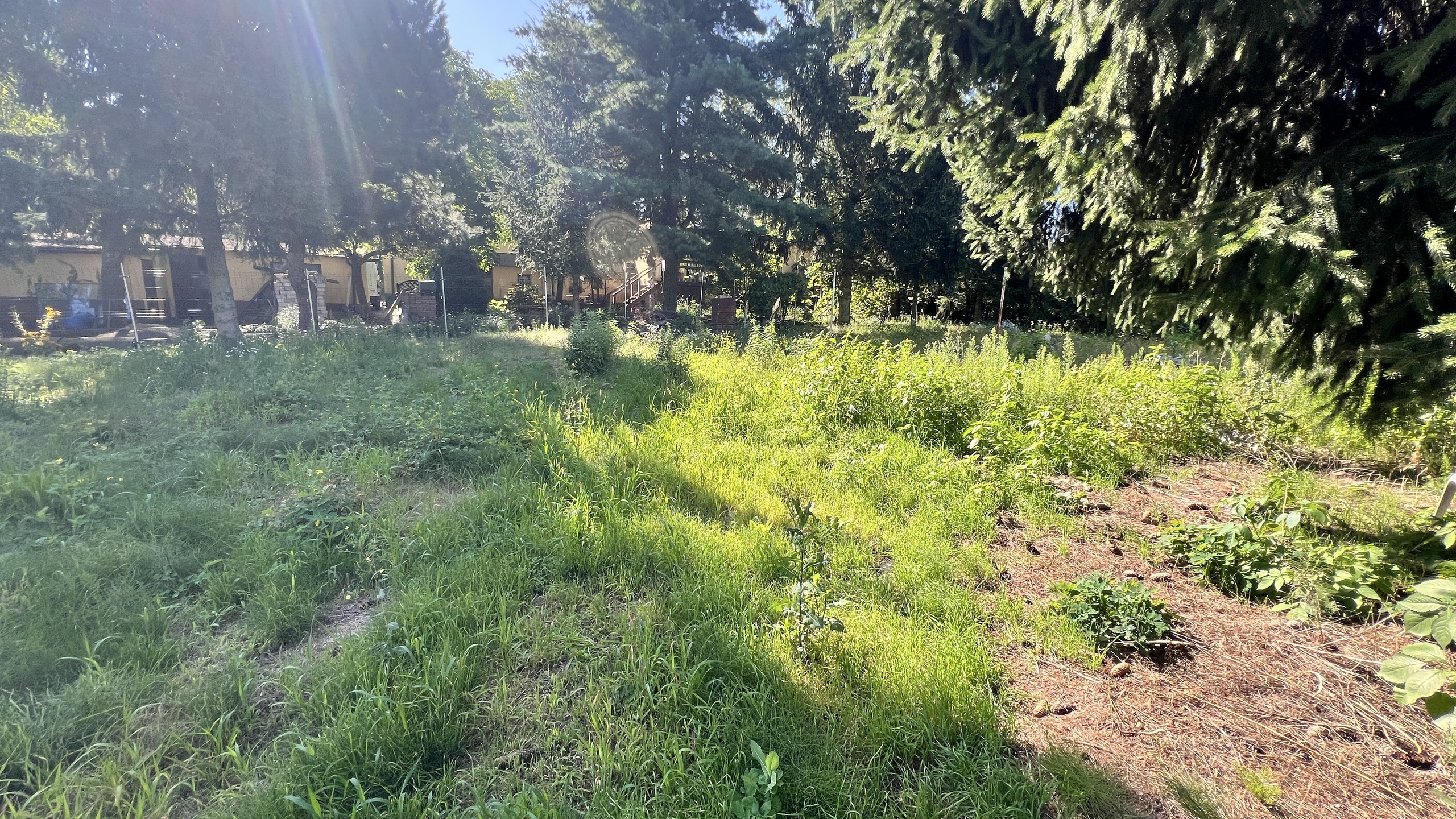 Działka budowlana 612 m2 w Luboniu Żabikowie - zdjęcie 15