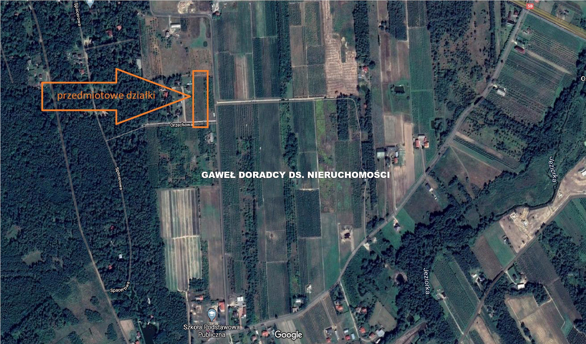 Działka w Jeziorach - zdjęcie 3