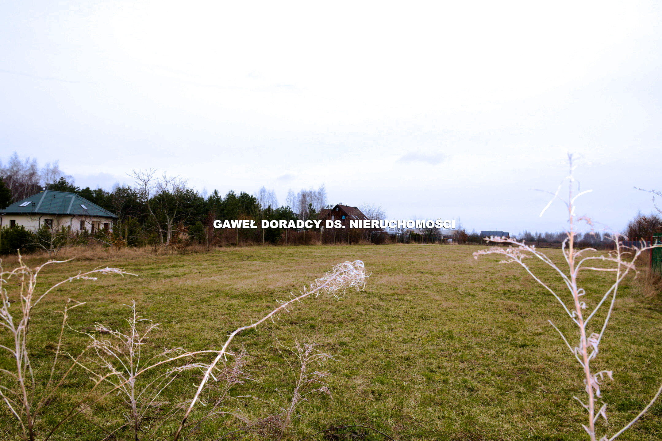 Działka w Jeziorach - zdjęcie 2