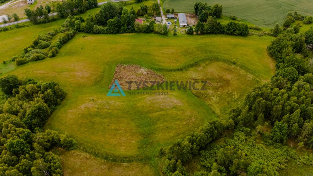 Ziemia rolna - Trzebiatkowa, gm. Tuchomie - zdjęcie 10