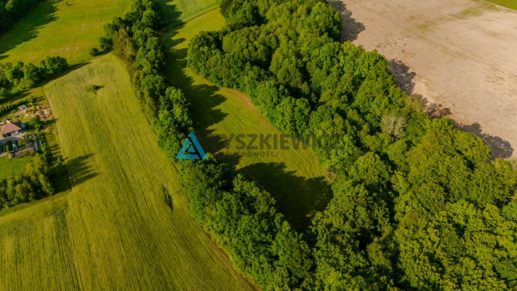 Piękna działka w pobliżu Bytowa z wydanymi WZ - zdjęcie 2