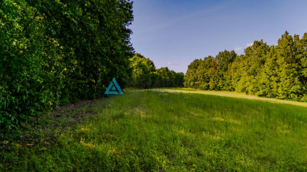 Piękna działka w pobliżu Bytowa z wydanymi WZ - zdjęcie 25