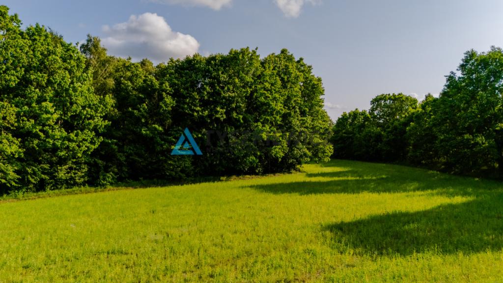 Piękna działka w pobliżu Bytowa z wydanymi WZ - zdjęcie 19