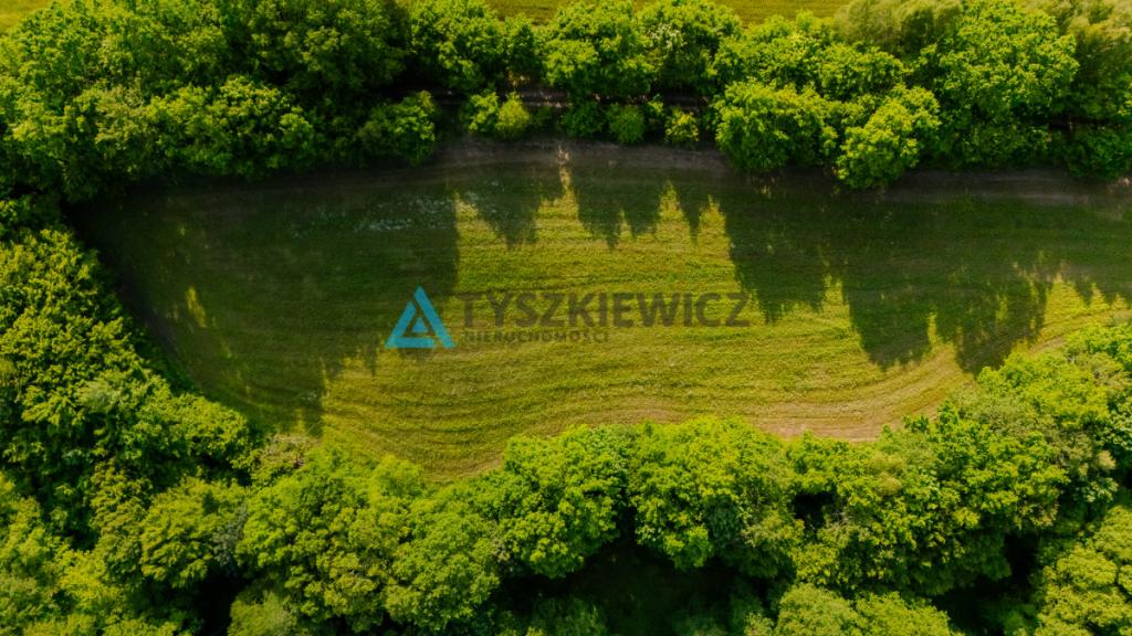 Piękna działka w pobliżu Bytowa z wydanymi WZ - zdjęcie 8