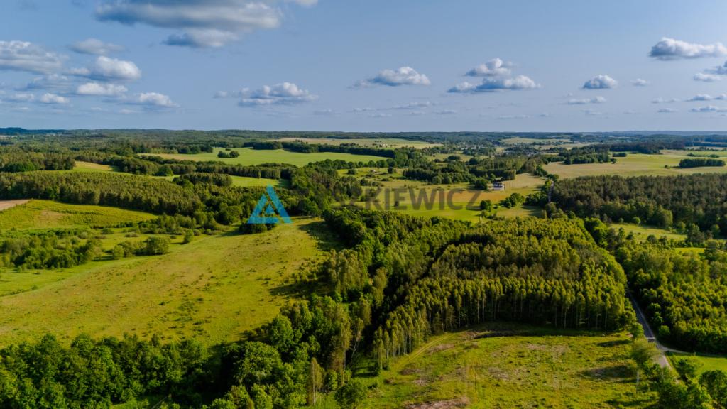 Piękna działka w pobliżu Bytowa z wydanymi WZ - zdjęcie 6