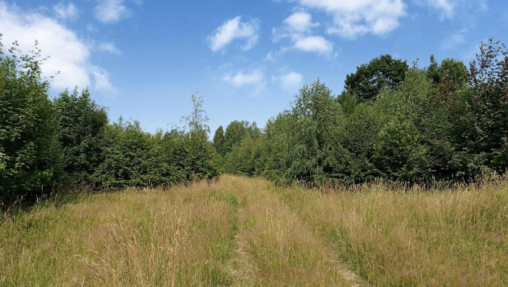 Działka budowlana 2404 m², Kudowa-Zdrój, Słoneczna - zdjęcie 5