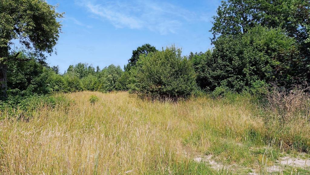 Działka budowlana 2484 m², Kudowa-Zdrój, Słoneczna - zdjęcie 5
