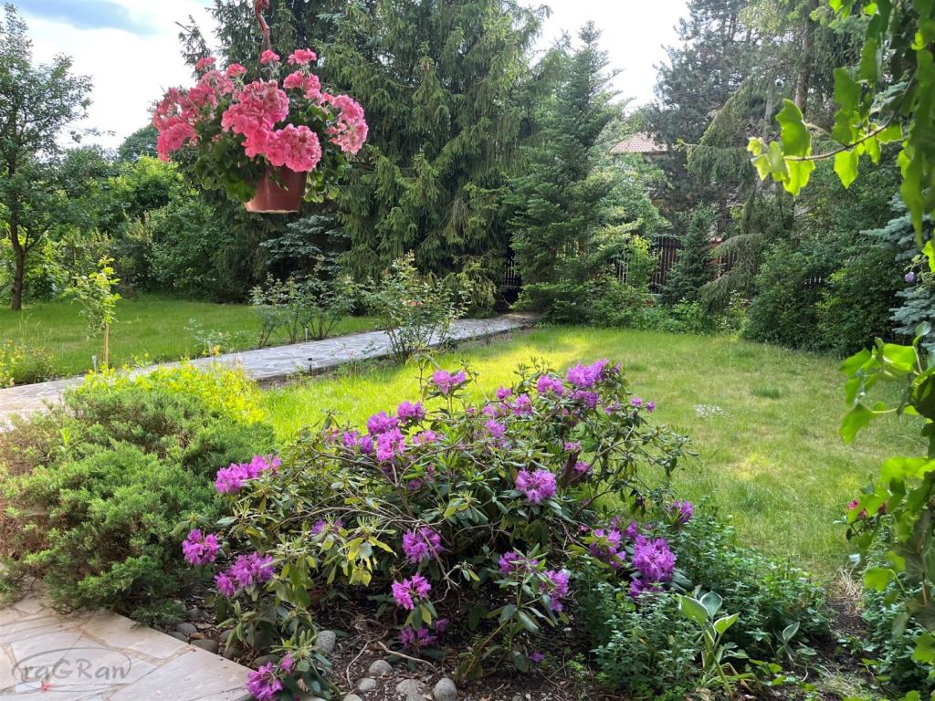 Wolnosojąca, duża rezydencja, 10 pokoi, dwa garaże - zdjęcie 9