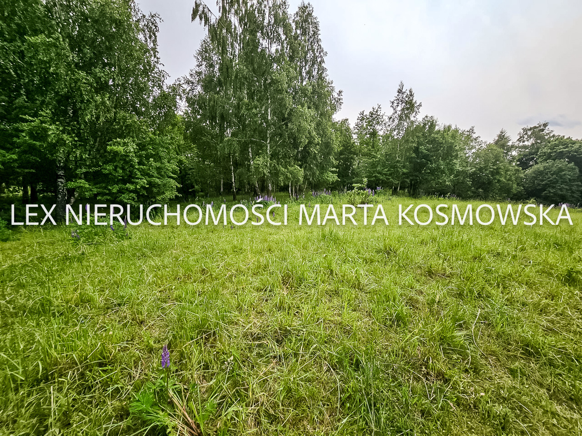 Wejdyki, województwo mazurko-warmińskie,działak o pow. 9211 m - zdjęcie 9