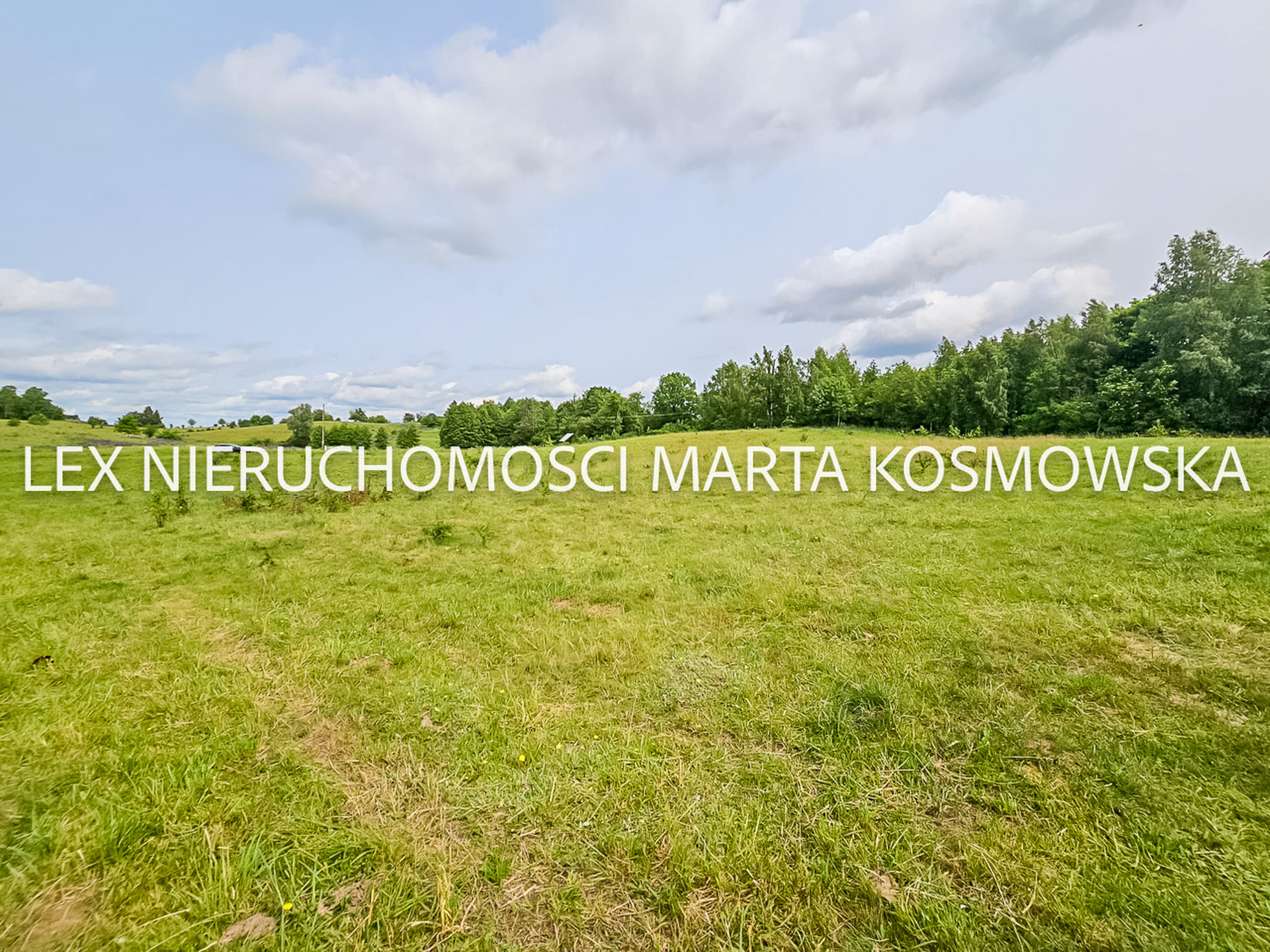 Wejdyki, województwo mazurko-warmińskie,działak o pow. 9211 m - zdjęcie 5