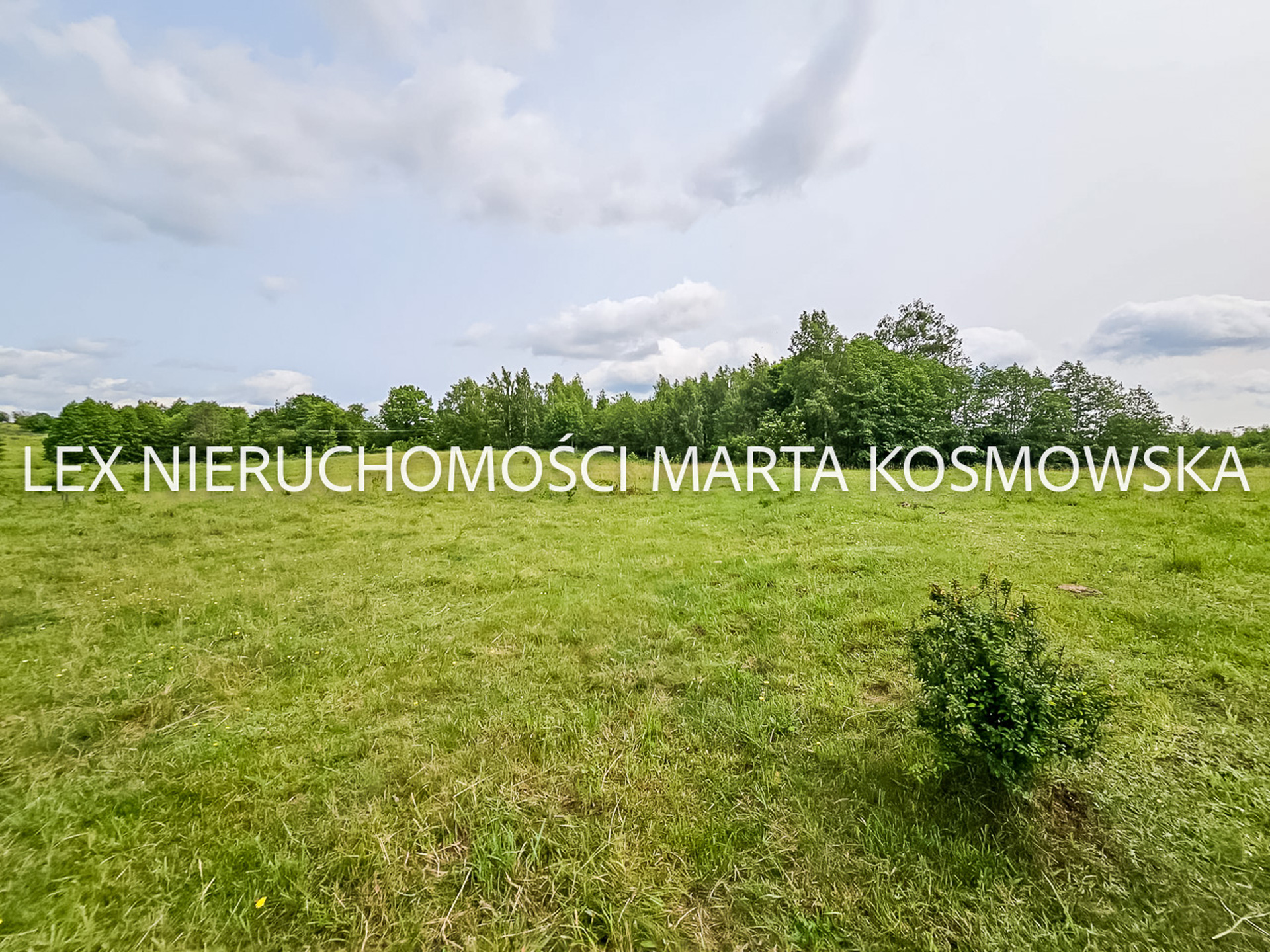 Wejdyki, województwo mazurko-warmińskie,działak o pow. 9211 m - zdjęcie 1