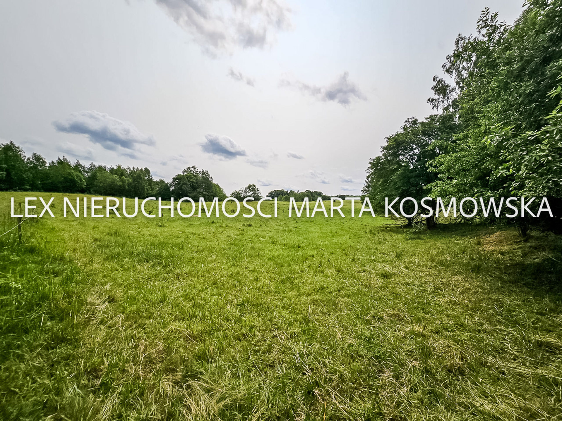 Wejdyki, województwo mazurko-warmińskie,działak o pow. 9211 m - zdjęcie 3