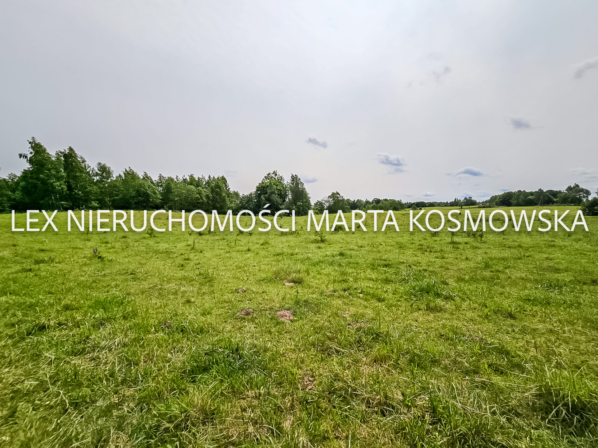 Wejdyki, województwo mazurko-warmińskie,działak o pow. 9211 m - zdjęcie 2