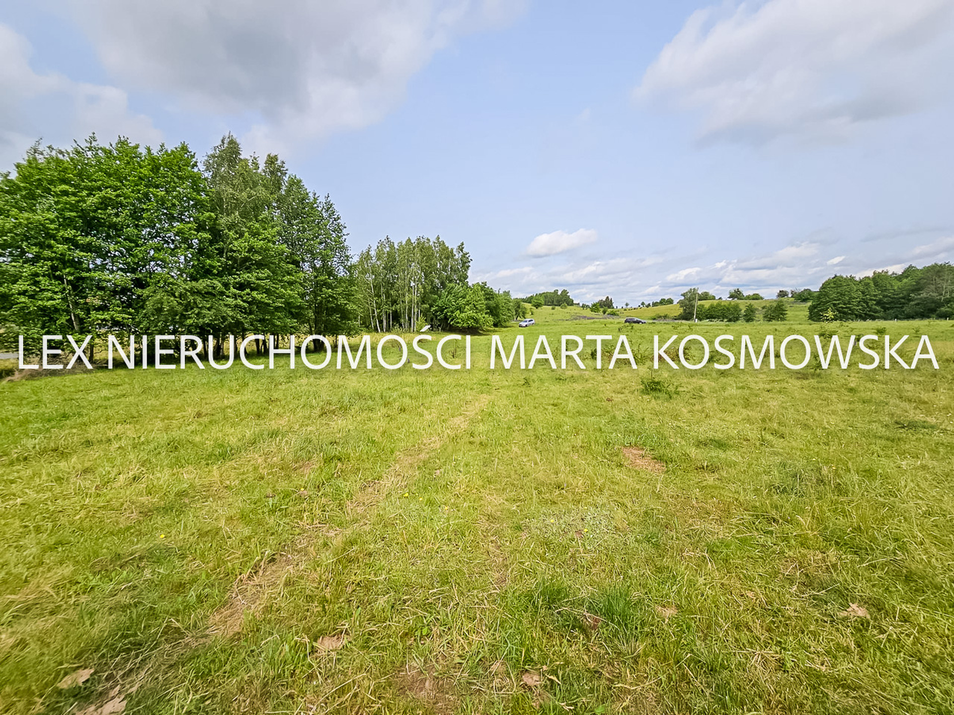 Wejdyki, województwo mazurko-warmińskie,działak o pow. 9211 m - zdjęcie 7