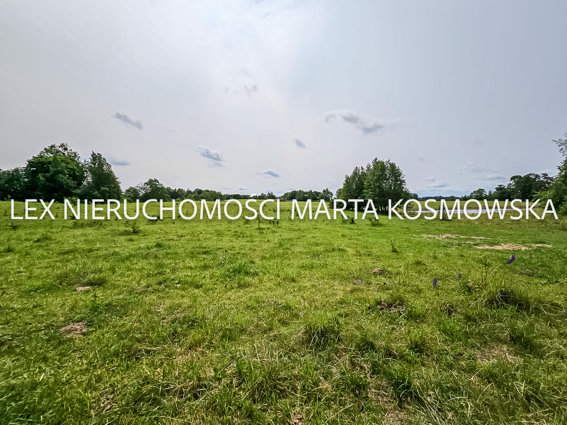 Wejdyki, województwo mazurko-warmińskie,działak o pow. 9211 m - zdjęcie 4