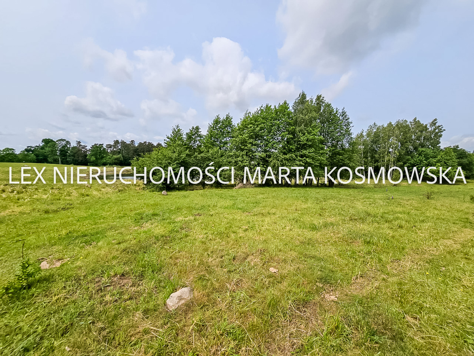 Wejdyki, województwo mazurko-warmińskie,działak o pow. 9211 m - zdjęcie 6