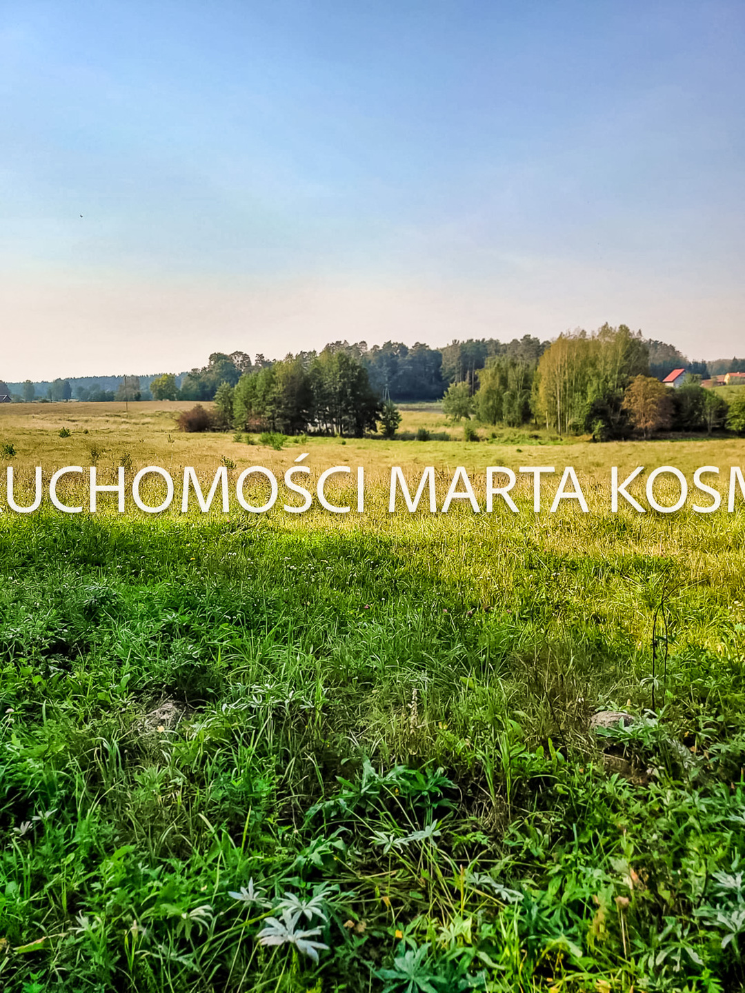 Wejdyki, województwo mazurko-warmińskie,działak o pow. 9211 m - zdjęcie 8