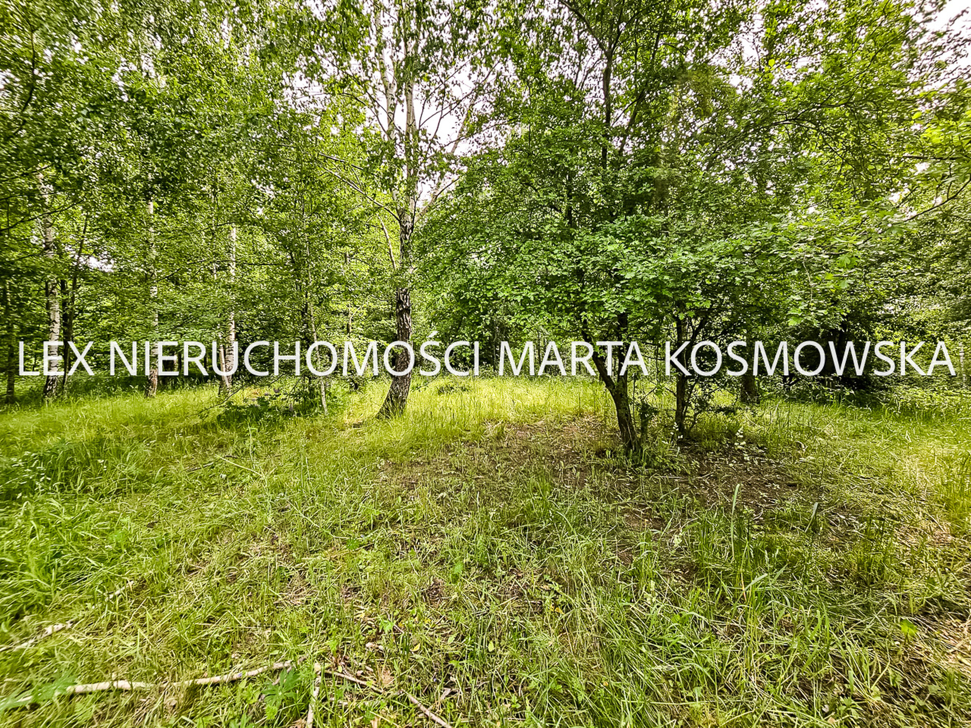 Wejdyki, województwo mazurko-warmińskie,działak o pow. 9211 m - zdjęcie 11