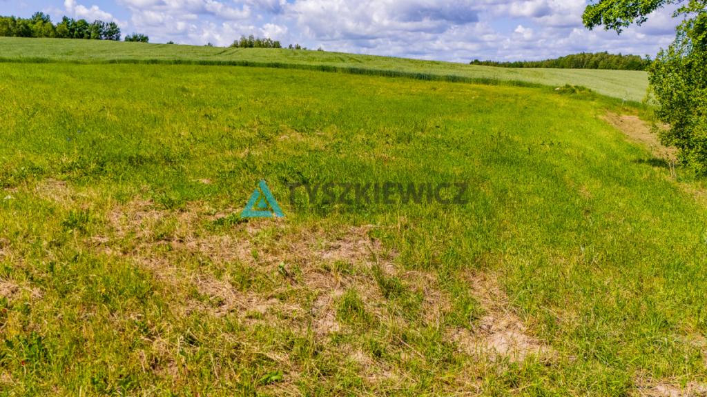 Działka z warunkami zabudowy - zdjęcie 10