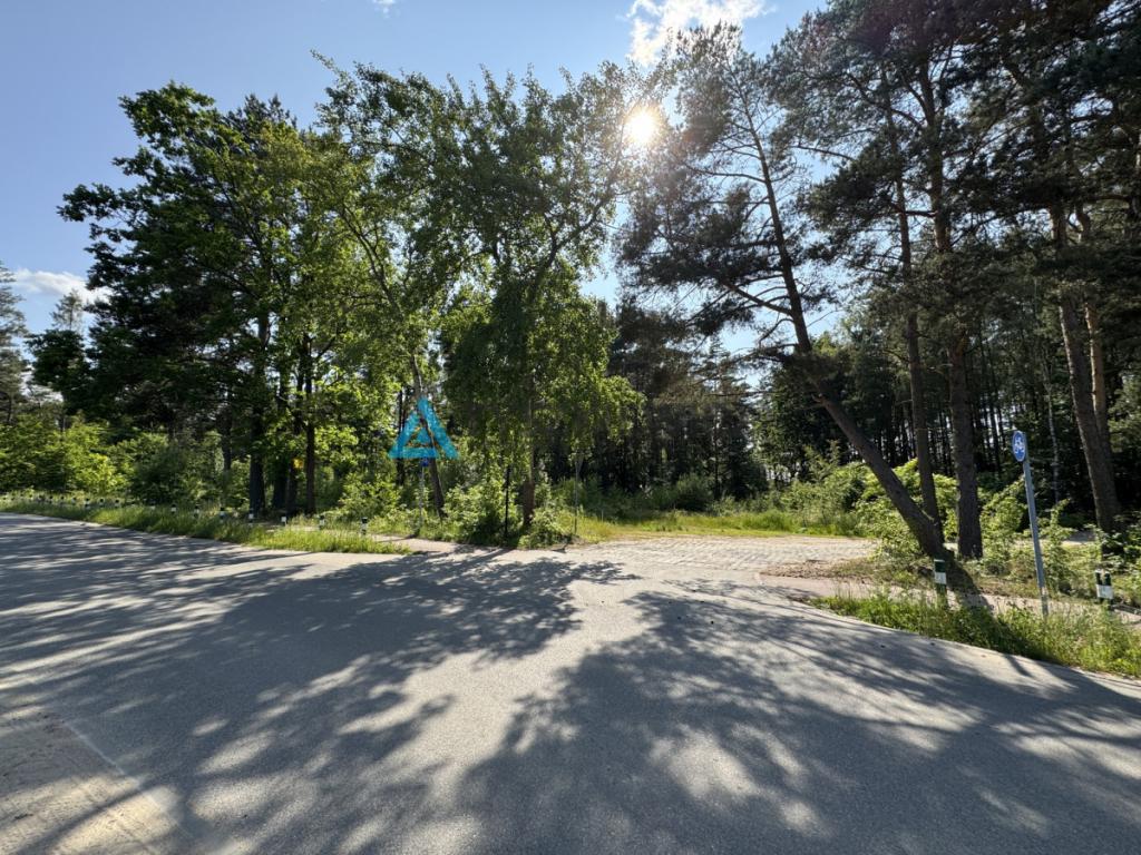 Działka mieszkaniowa z własnym lasem Chwaszczyno - zdjęcie 13
