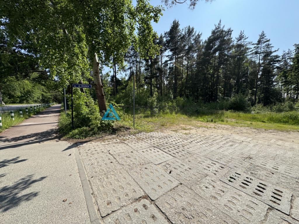 Działka mieszkaniowa z własnym lasem Chwaszczyno - zdjęcie 22