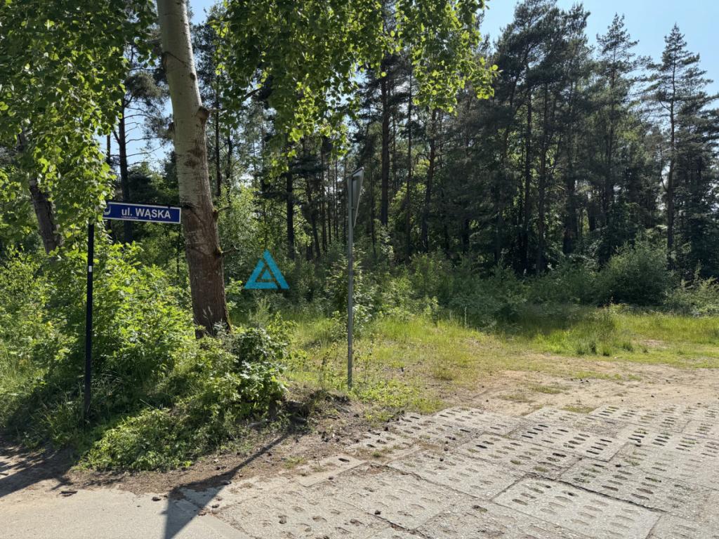 Działka mieszkaniowa z własnym lasem Chwaszczyno - zdjęcie 19