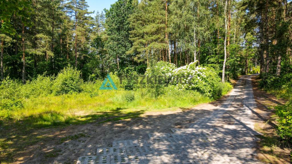 Działka mieszkaniowa z własnym lasem Chwaszczyno - zdjęcie 10