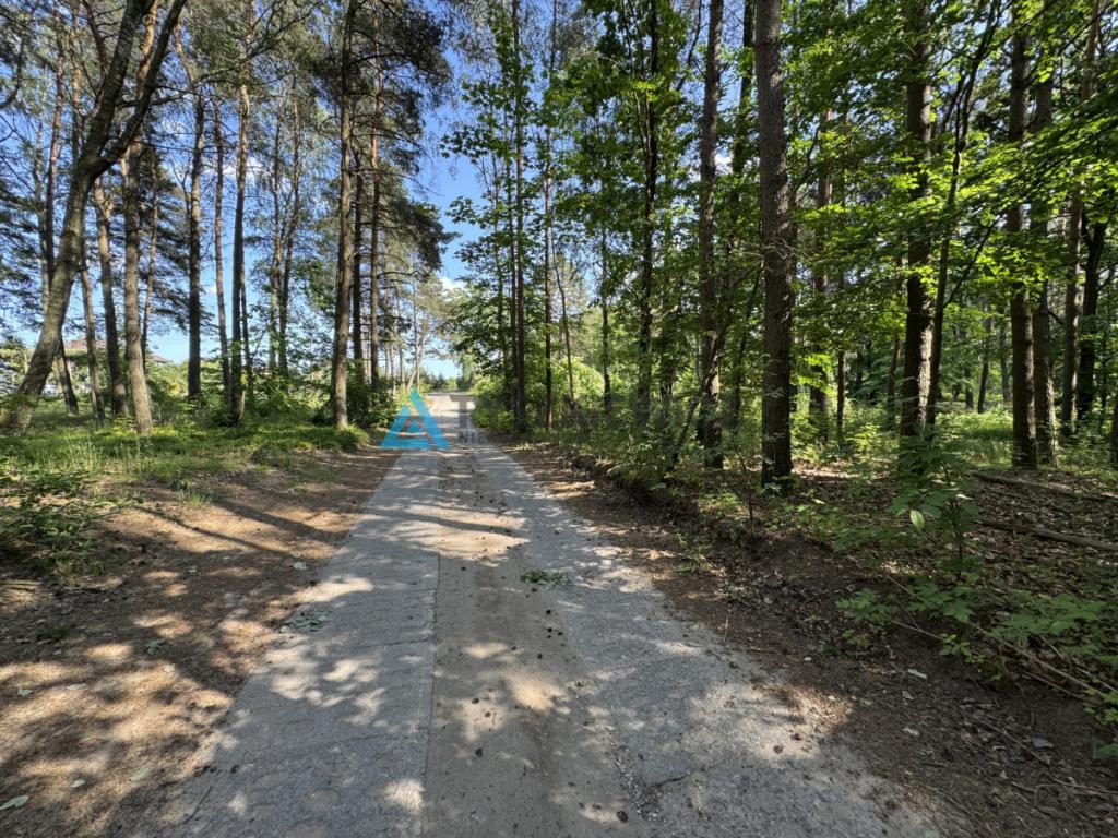 Działka mieszkaniowa z własnym lasem Chwaszczyno - zdjęcie 25