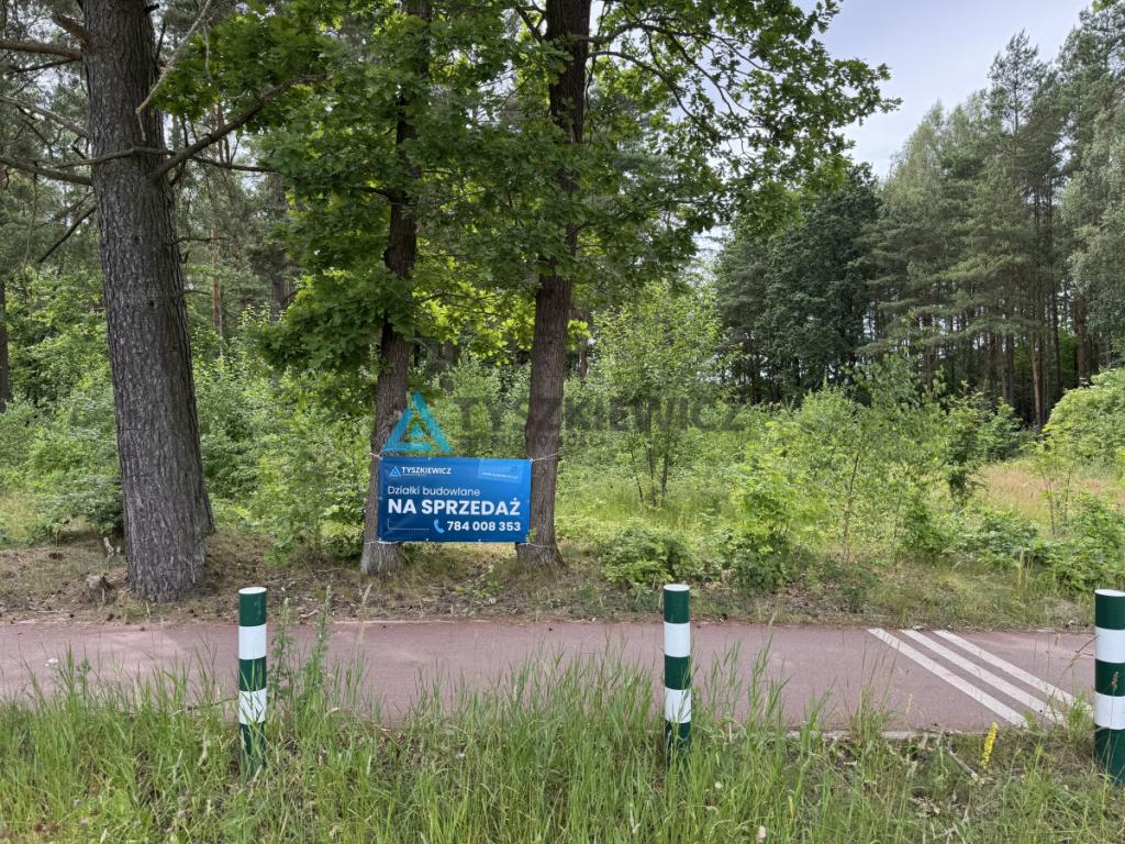 Działka mieszkaniowa z własnym lasem Chwaszczyno - zdjęcie 17