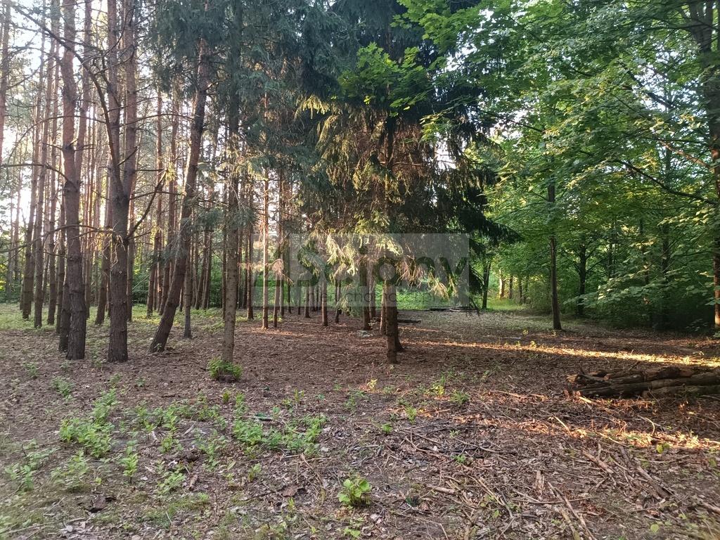 Działka budowlana 1351 m², Sulejówek - zdjęcie 2