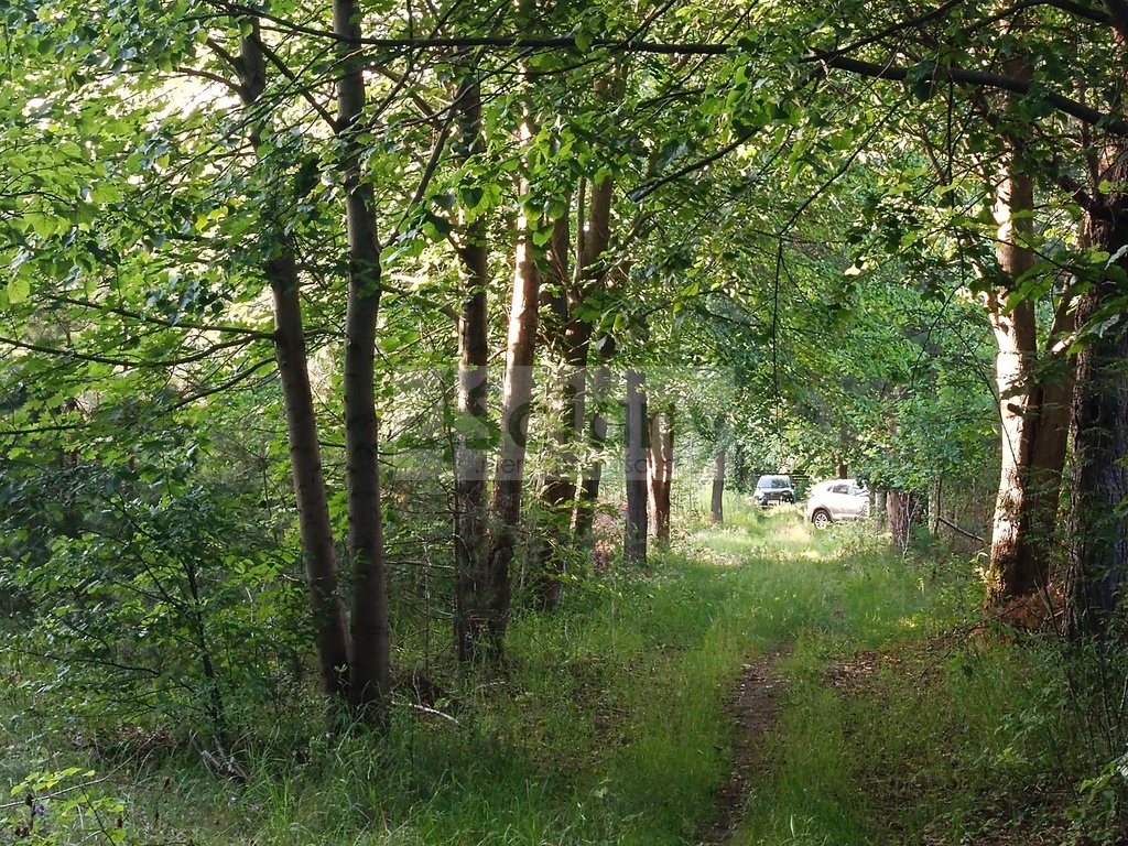 Działka budowlana 1351 m², Sulejówek - zdjęcie 3