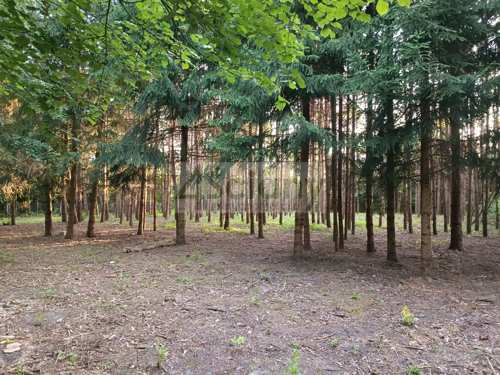 Działka budowlana 1351 m², Sulejówek - zdjęcie 5
