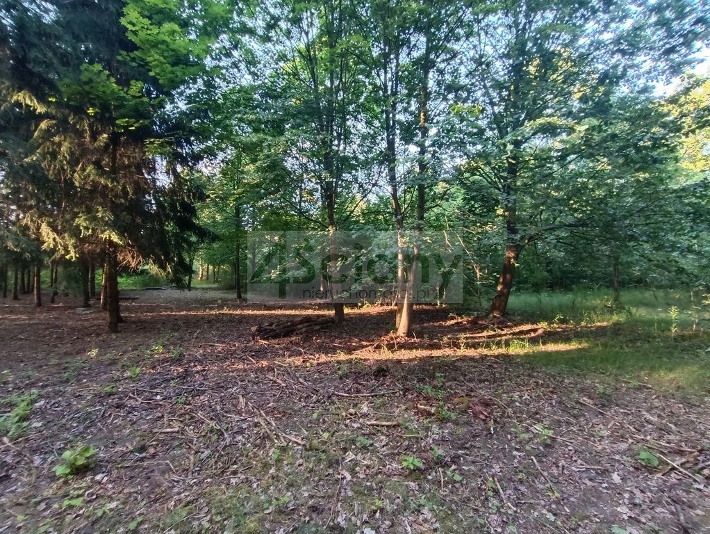 Działka budowlana 1351 m², Sulejówek - zdjęcie 6