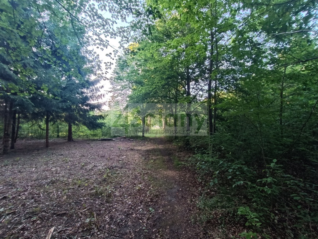 Działka budowlana 1351 m², Sulejówek - zdjęcie 8